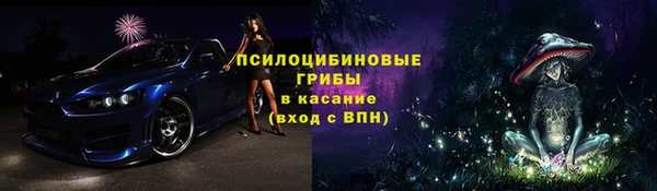 соль ск Алексин