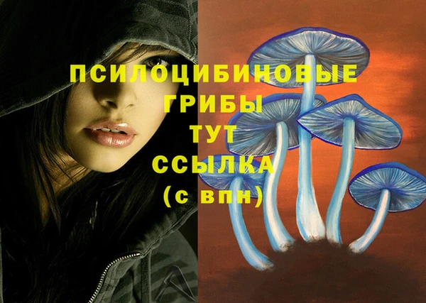 эйфоретик Абаза